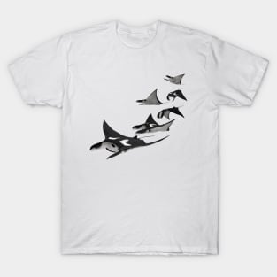 6 Manta school T-Shirt